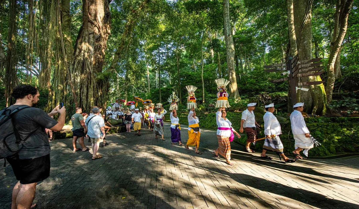 Aktivitas yang Bisa Dilakukan di Monkey Forest