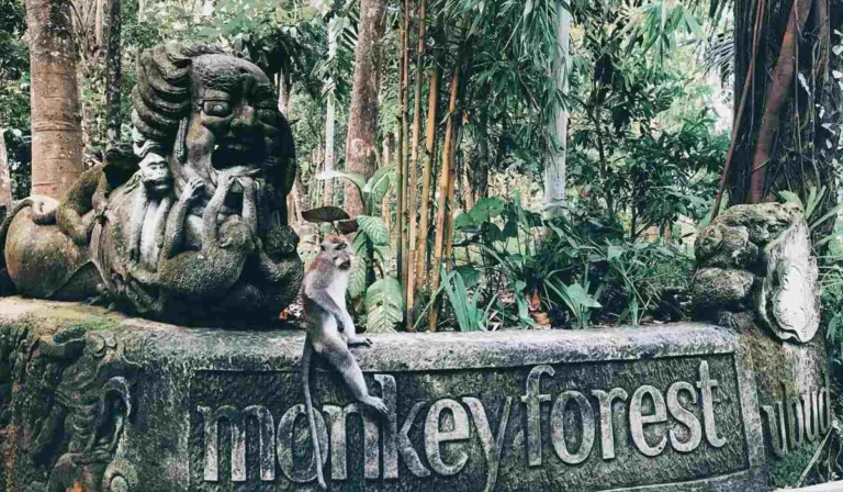 Menelusuri Keindahan Alam Monkey Forest Ubud Bali