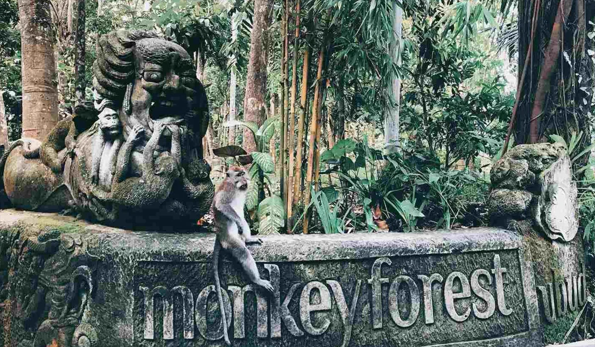 Menelusuri Keindahan Alam Monkey Forest Ubud Bali