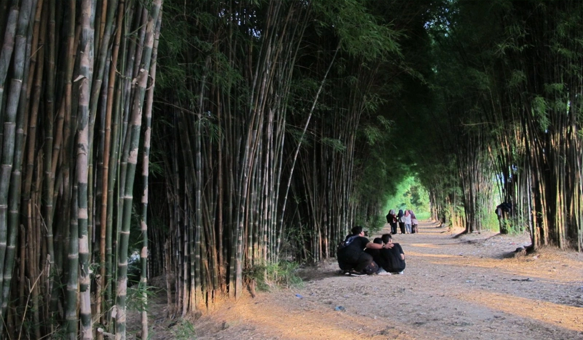 Aktivitas dan di Hutan Bambu