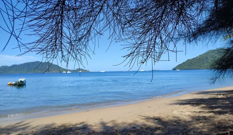 Eksplorasi-Pantai-Carolina-Wisata-Alam-yang-Menyegarkan
