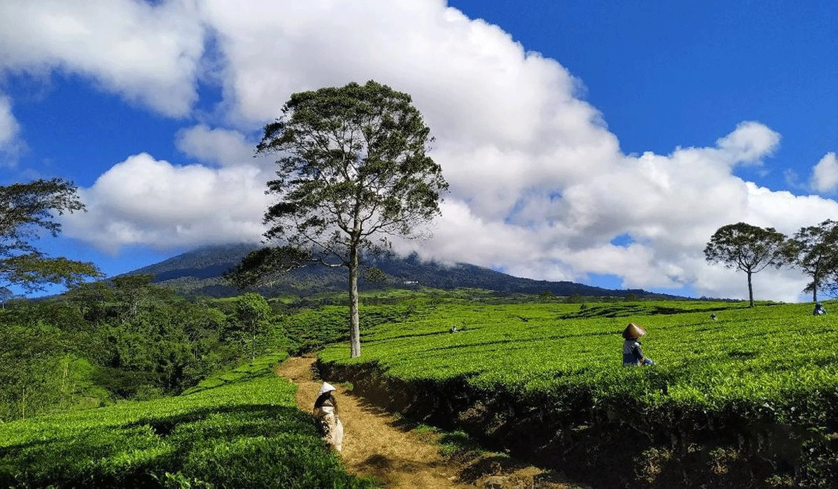 Keanekaragaman-Flora-dan-Fauna