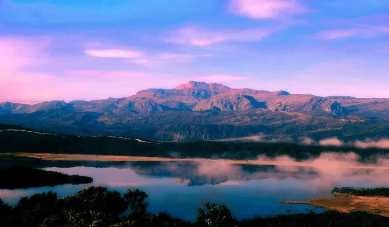 Keindahan Danau Habema Papua, Surga Alam di Pegunungan Maoke