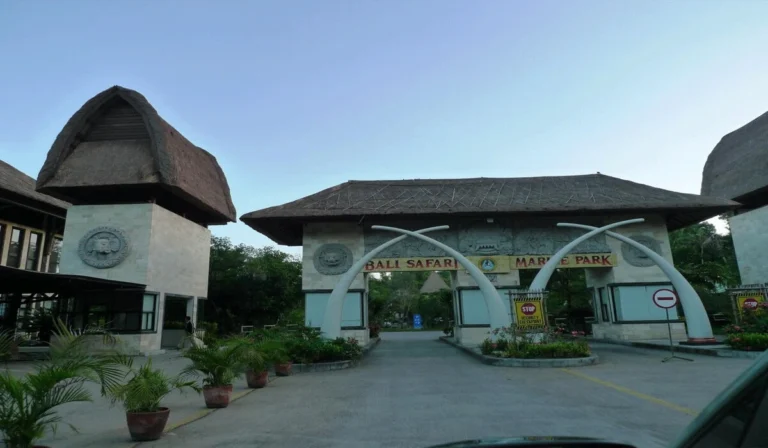 Bali Safari & Marine Park, Wisata Edukatif dan Konservasi Satwa