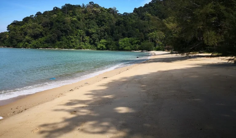 Pantai-Teluk-Dalam,-Destinasi-Tropis-yang-Wajib-Dikunjungi-di-Nias