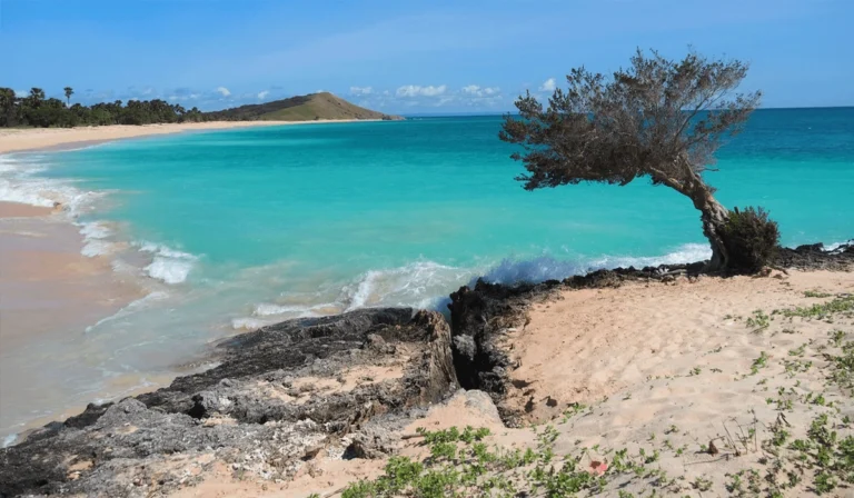 Pesona-Pulau-Semau,-Surga-Tropis-yang-Bikin-Tak-Mau-Pulang