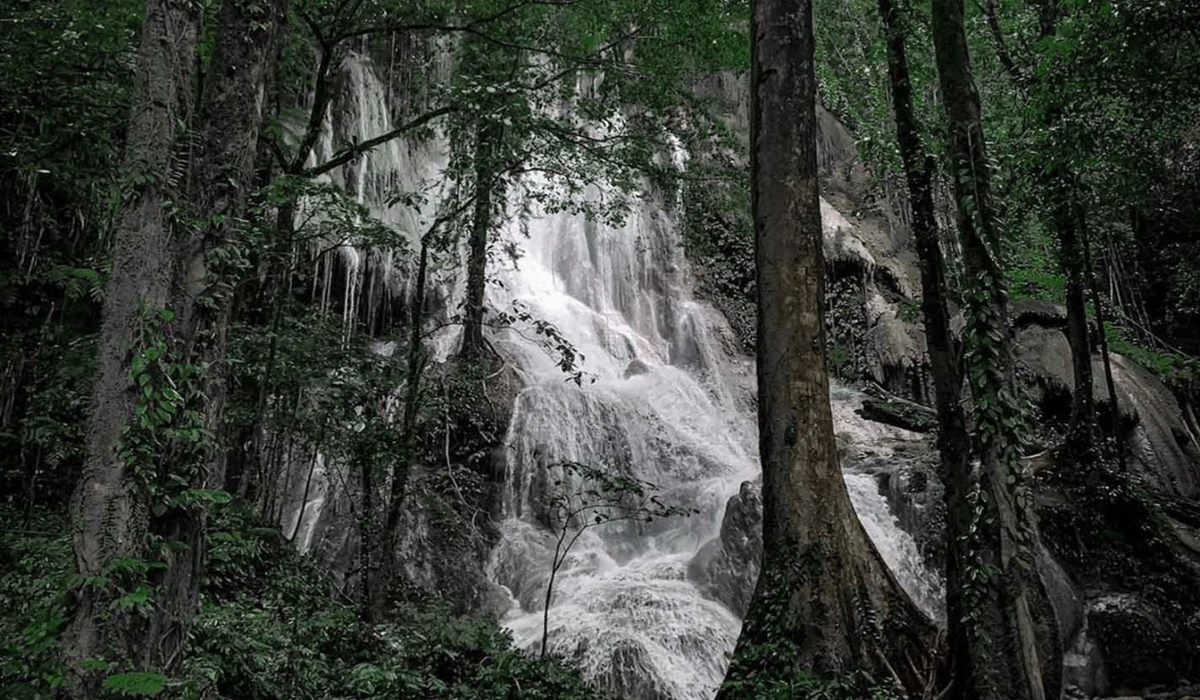 Menelusuri Keindahan Alami Air Terjun Wawondiku Di Sulawesi Tenggara